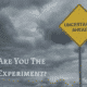 Are You The Experiment?