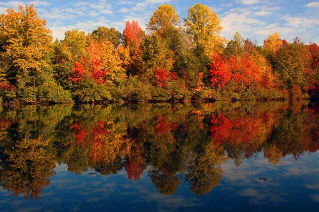 Greenville SC Fall Colors