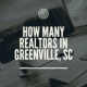How Many Realtors in Greenville SC